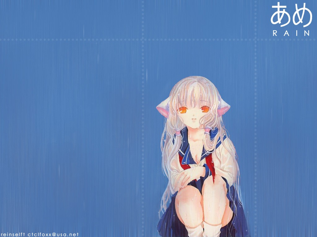 album